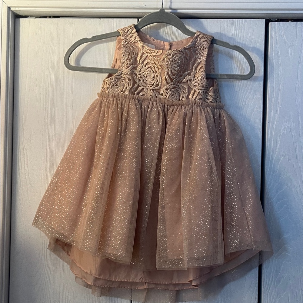 Elegant Lace and Tulle Dress